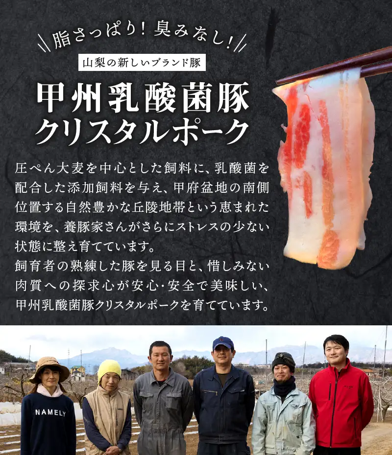 ぜん糀バラベーコンブロック（約100ｇ×5）ZBB1
