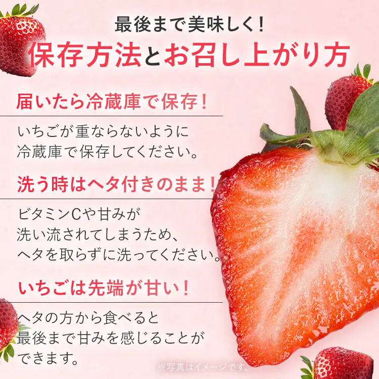 いちご   福岡いちご2種食べ比べセット あまおう かおり野  【2027年2月より順次発送】 いちご  
