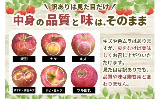 [訳あり] [定期便／12月中旬頃＆2月中旬頃の計2回発送]  りんご サンふじ 10kg (28玉から40玉入り／計2回・合計20kg) 見た目にわけあり 味はそのまま [1016]