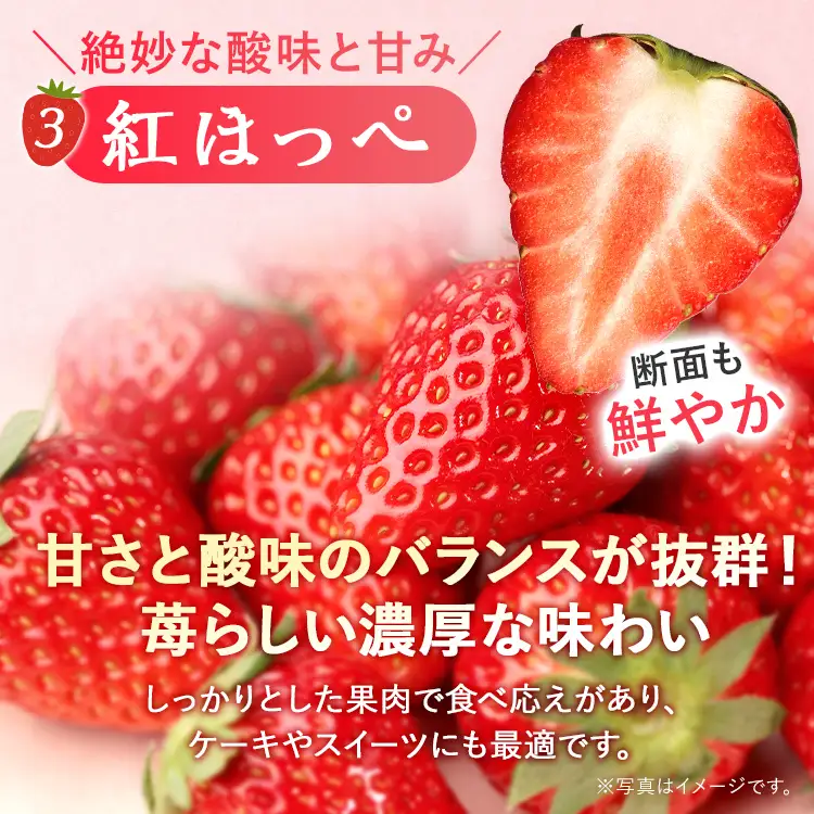 いちご   福岡いちご3種食べ比べセット あまおう かおり野 紅ほっぺ 【2027年2月より順次発送】 いちご  