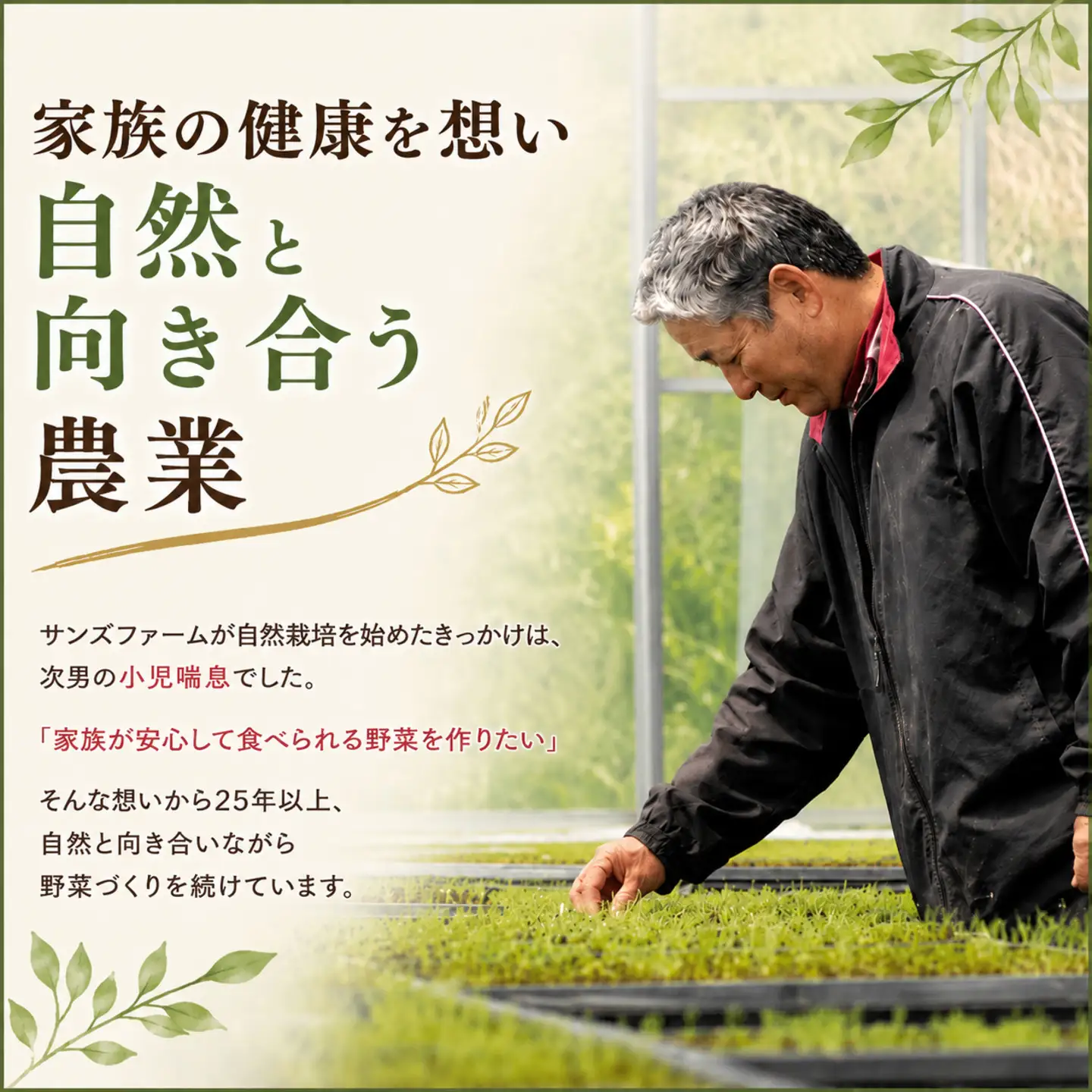 訳あり さつまいも 紅はるか 約5kg 【さつまいも】