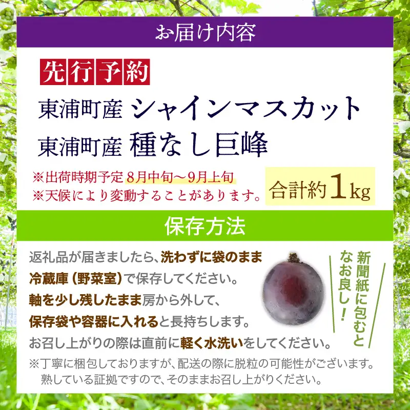 【先行予約】【2026年8月発送】東浦町産 種なし巨峰とシャインマスカット(約1kg)