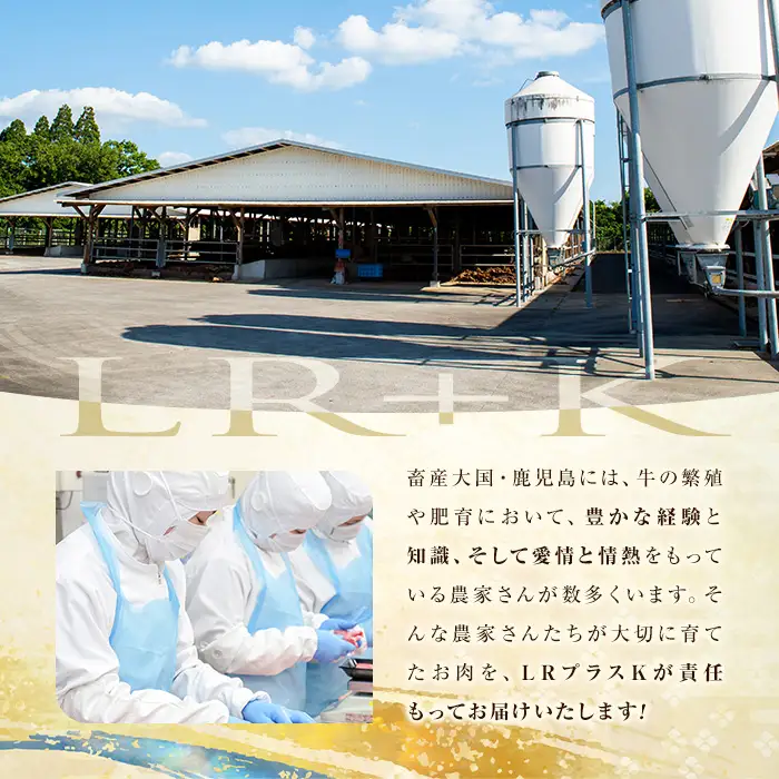 【3回定期便】鹿児島県産 豚肉 バラエティ セット3種 (2.1kg×3回 計6.3kg) 肉 豚肉 小分け セット バラエティー 食べ比べ バラスライス ロース 肩ロース 焼肉 豚バラ ミンチ 冷凍 しゃぶしゃぶ つくね 炒め物 t0039-006