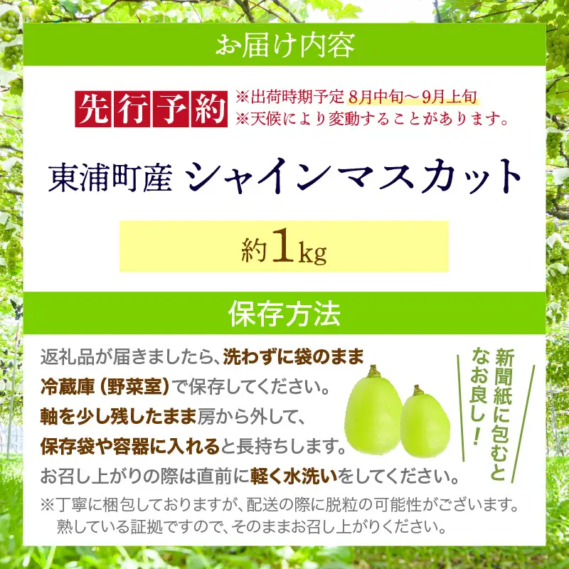 【先行予約】【2026年8月発送】東浦町産 シャインマスカット(約1kg)