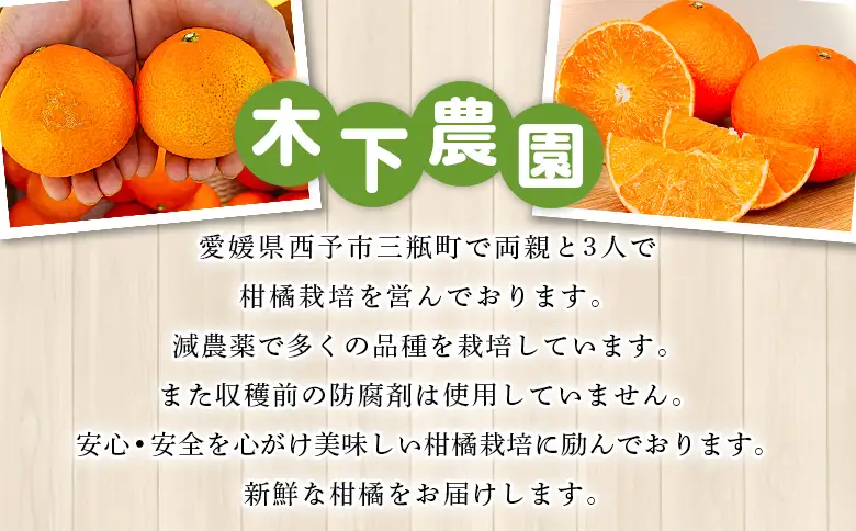 紅まどんなと同品種！＜木下さんちのまどんな 訳あり 約5kg＞『2026年12月に順次出荷』愛媛果試第28号 柑橘類 みかん ミカン 果物 くだもの フルーツ 不揃い 自宅用 愛媛果試第28号 特産品 産地直送 マドンナ 木下農園 西宇和 愛媛県 西予市【常温】MKS0022