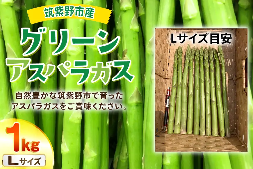 【期間限定発送】 アスパラ グリーンアスパラガス L 1kg