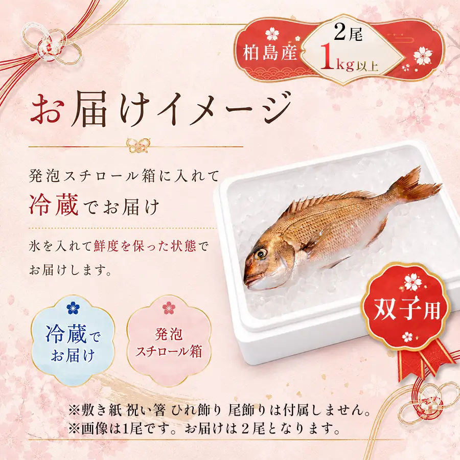 お食い初め 真鯛 2尾 双子 1kg以上 尾頭付き 鯛 のみ 2匹 真空パック 祝い鯛 百日祝い 100日祝い 鯛の塩焼き お食初め 自宅 お食い初め料理 初節句 100日お祝い膳 祝い善 節句 記念撮影 赤ちゃん ベビー  魚 高知県 柏島産 大月町