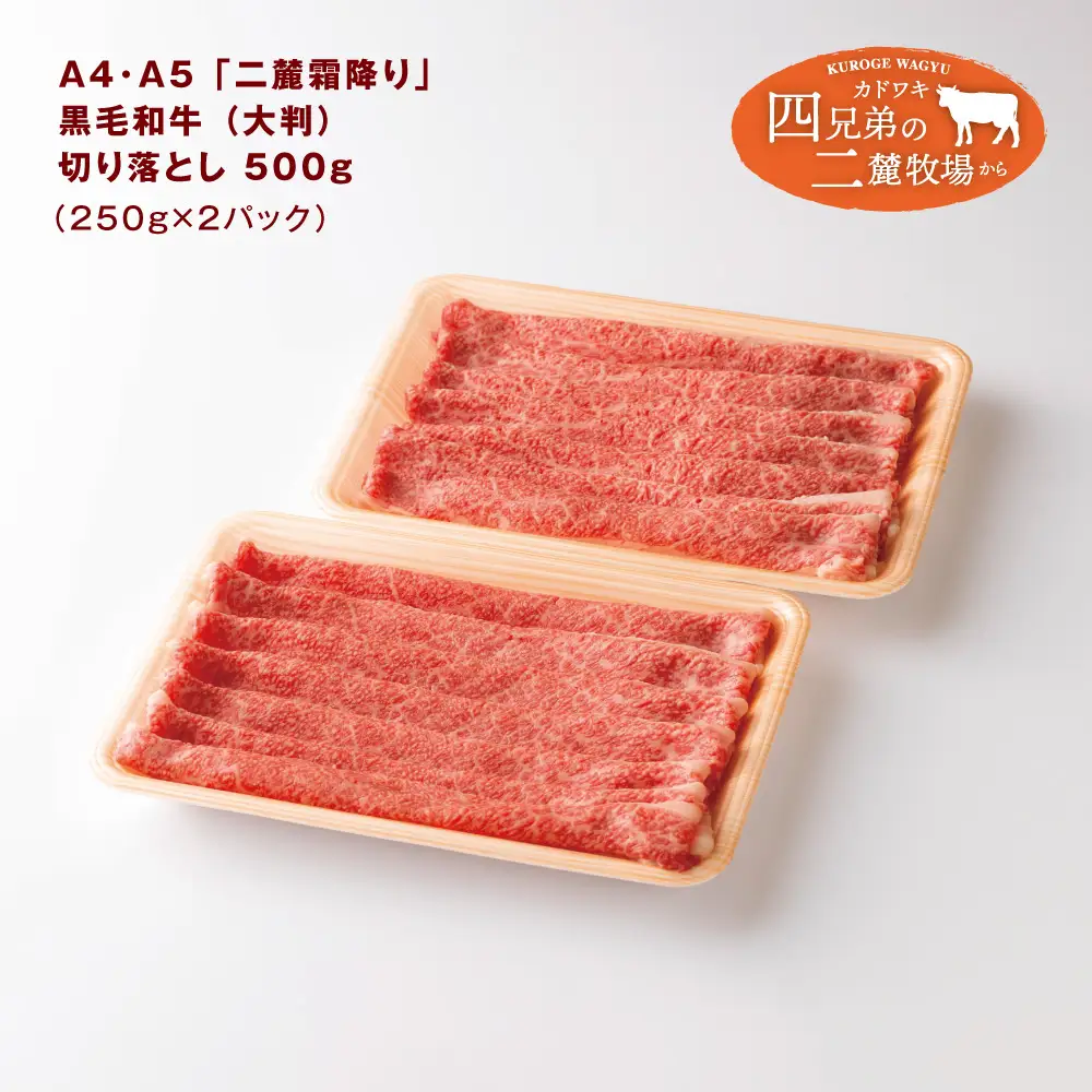 A4･A5「二麓（にろく）霜降り」黒毛和牛（大判）切り落とし 500g（250g×2）ニセコ連峰と鈴鹿山脈、二つの麓（ふもと）で育てた脂の質にこだわった美味しい霜降りをリーズナブルに│牛肉 国産牛 ブランド牛 冷凍便 年末年始 お正月 焼肉 しゃぶしゃぶ すき焼き 三重県 四日市市 ふるさと納税