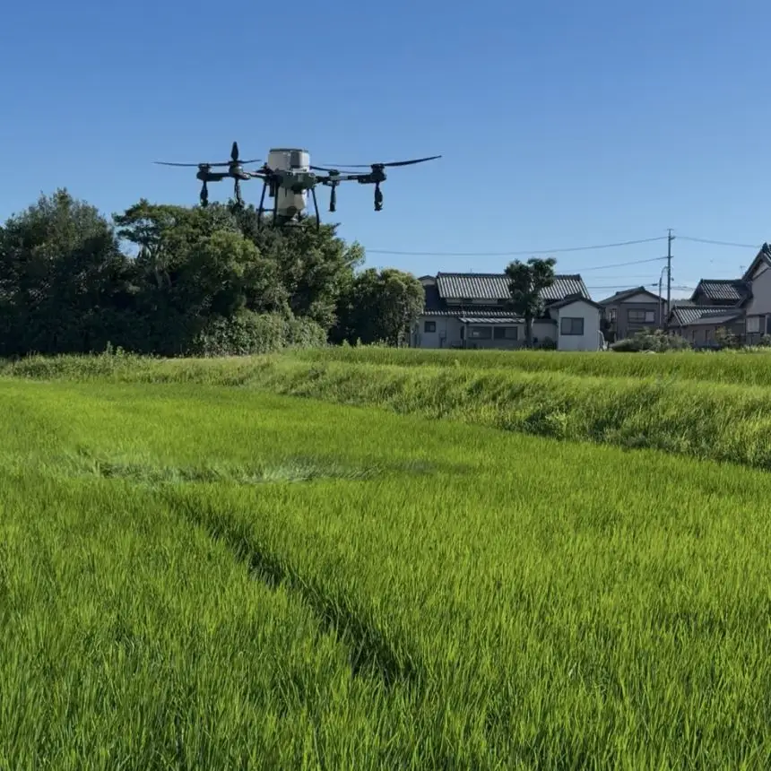 【毎月定期便】あいちのかおり　精米5kg全3回│まるみや