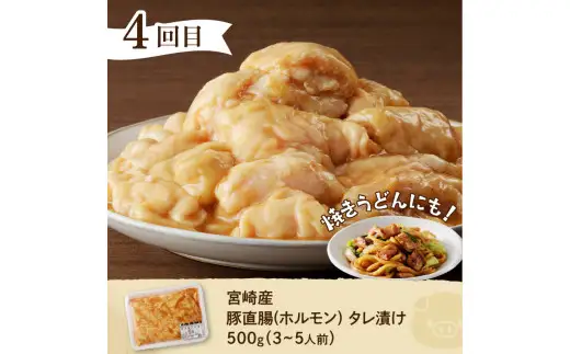 おうちで簡単時短おかず6回定期便 レンチン 焼くだけ 簡単調理 ストック ブランドポーク 豚ロース みそ漬け 生姜焼き 豚ハラミ 豚サガリ 豚ホルモン チキン南蛮 鶏モモ 炭火焼 弁当 宮崎県 延岡市 N061-YZD052