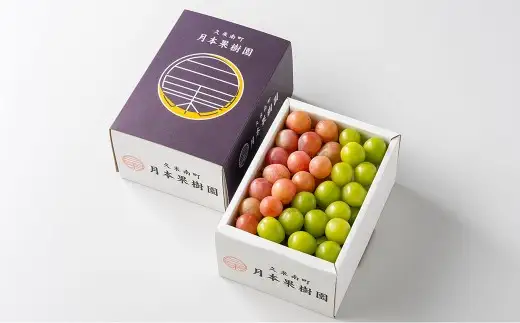 【 ご家庭用 】 岡山県産 摘み落としぶどう 農家セレクト 2種 詰め合わせ 約1kg ブドウ フルーツ 果物 くだもの 果実 おやつ デザート スイーツ 詰合せ 詰め合わせ セット 【 2026年8月下旬～10月下旬迄発送予定 】