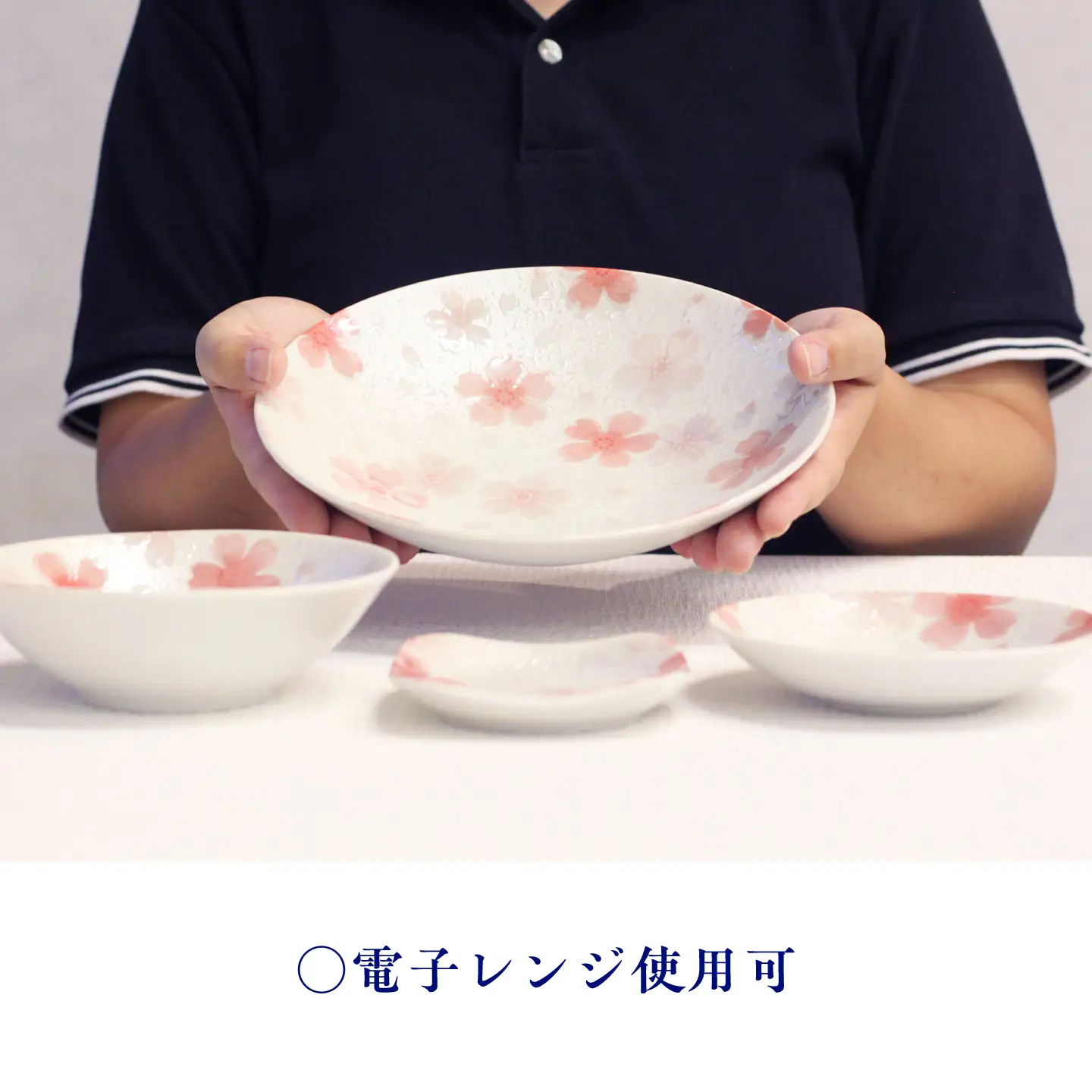 【美濃焼】煌 もてなし揃 【株式会社カネセ】食器 プレート 皿[MCA028]