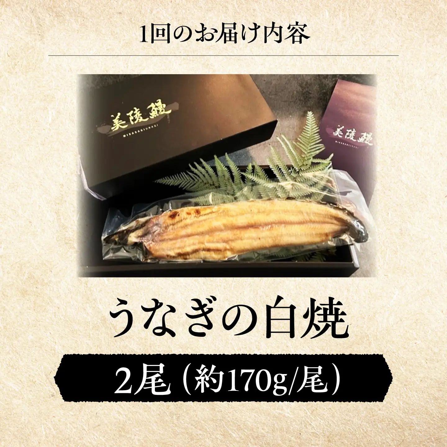 【全12回定期便】 鰻 美陵鰻の白焼 2尾 / 美陵鰻 鰻 うなぎ ウナギ 蒲焼 蒲焼き かば焼き かばやき 白焼き 白焼 肉厚 うな重 うな丼 惣菜 おかず 山椒 国産 スタミナ 土用 丑の日 ギフト / 大阪府藤井寺市/(株)れいわ水産[BLAL029]