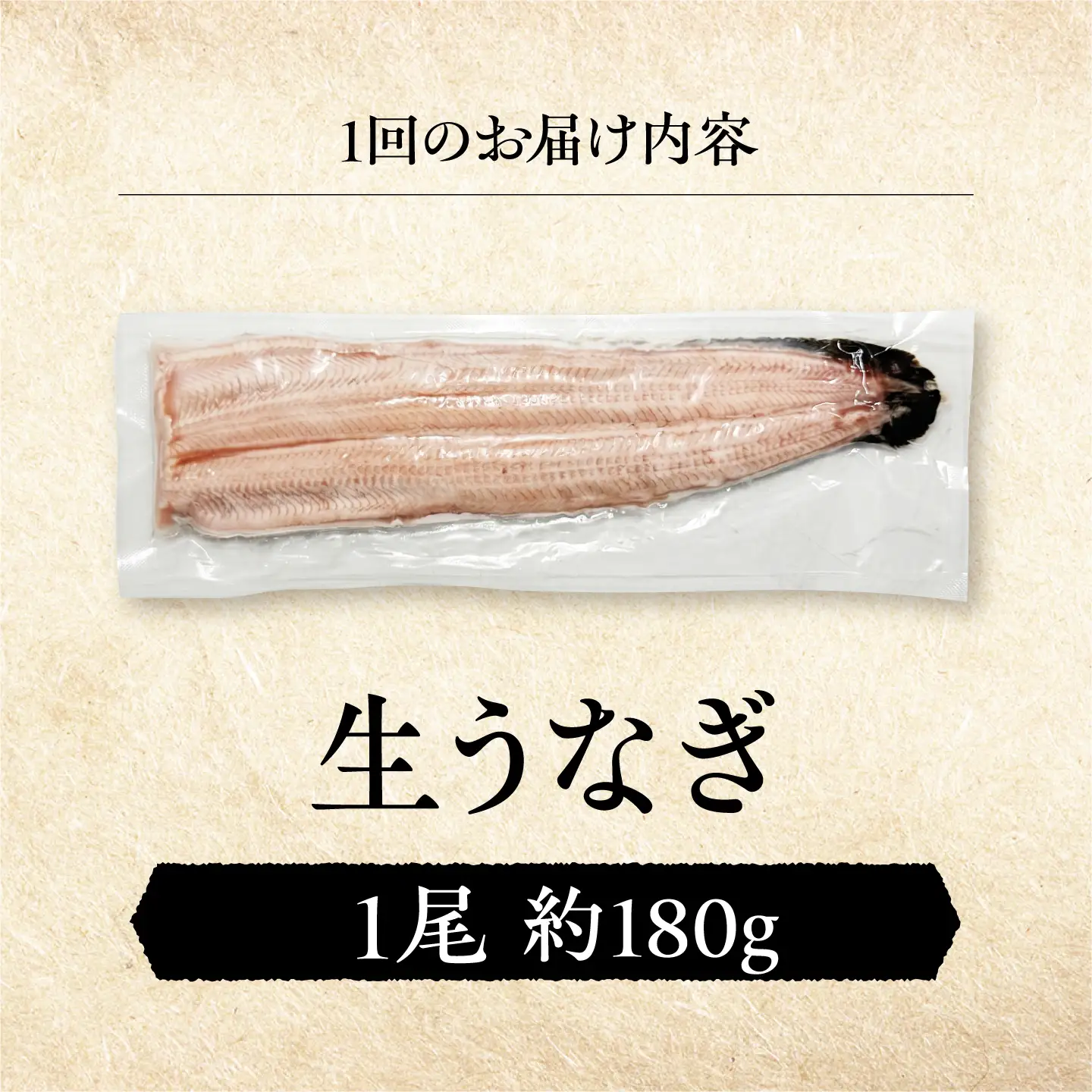 【全12回定期便】 鰻 美陵鰻の生鰻 1尾 / 美陵鰻 鰻 うなぎ ウナギ 蒲焼 蒲焼き かば焼き 白焼き 白焼 肉厚 うな重 うな丼 山椒 国産 スタミナ 土用 丑の日 土用の丑の日 贈答 ギフト / 大阪府藤井寺市/株式会社れいわ水産[BLAL062]