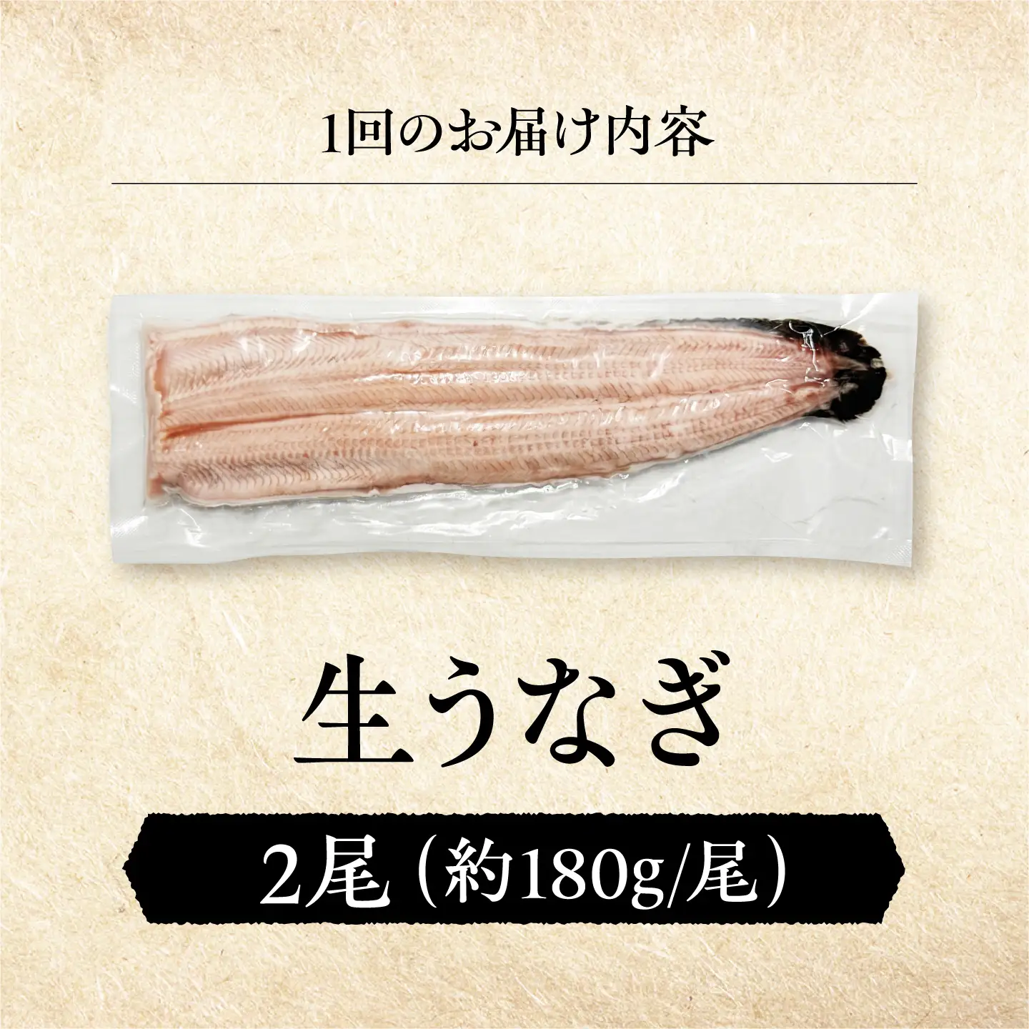 【全3回定期便】 鰻 美陵鰻の生鰻 2尾 / 美陵鰻 鰻 うなぎ ウナギ 蒲焼 蒲焼き かば焼き 白焼き 白焼 肉厚 うな重 うな丼 タレ 山椒 国産 スタミナ 土用 丑の日 土用の丑の日 贈答 ギフト / 大阪府藤井寺市/株式会社れいわ水産[BLAL064]