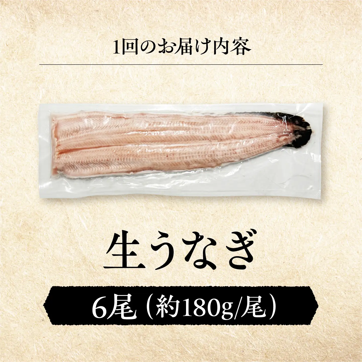 【全6回定期便】 鰻 美陵鰻の生鰻 6尾 / 美陵鰻 鰻 うなぎ ウナギ 蒲焼 蒲焼き かば焼き 白焼き 白焼 肉厚 うな重 うな丼 タレ 山椒 国産 スタミナ 土用 丑の日 土用の丑の日 贈答 ギフト / 大阪府藤井寺市/株式会社れいわ水産[BLAL077]
