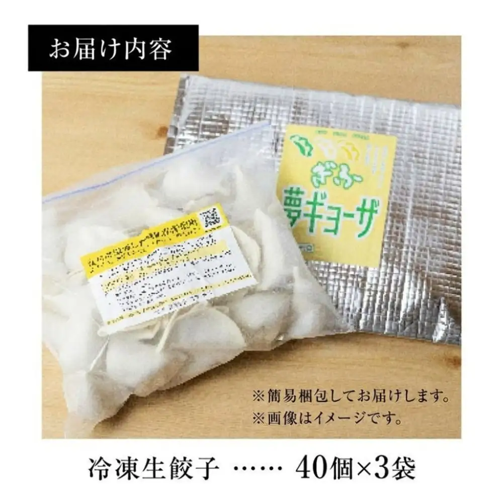 辛旨餃子 ミックス 3種 120個 冷凍餃子 食べ比べ メガ盛り 業務用 ぎょうざ ギョウザ 冷凍 グルメ お取り寄せ グルメ 冷凍食品 国産素材 ジューシー もちもち [mt2218] 22000円 