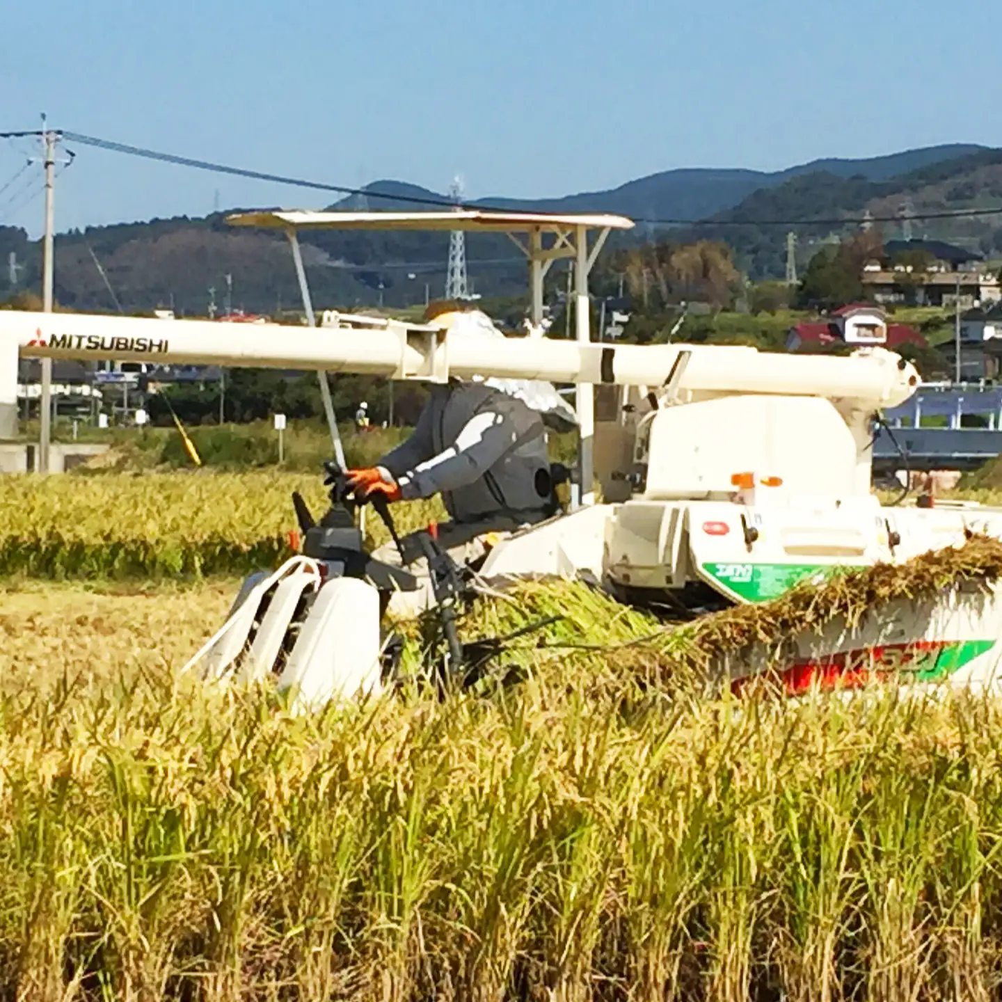 【栽培期間中農薬不使用】R8年度米 玄米 なつほのか 10kg 大村市 たぬき池自然農園/ 米 玄米 10kg[ACCJ002]