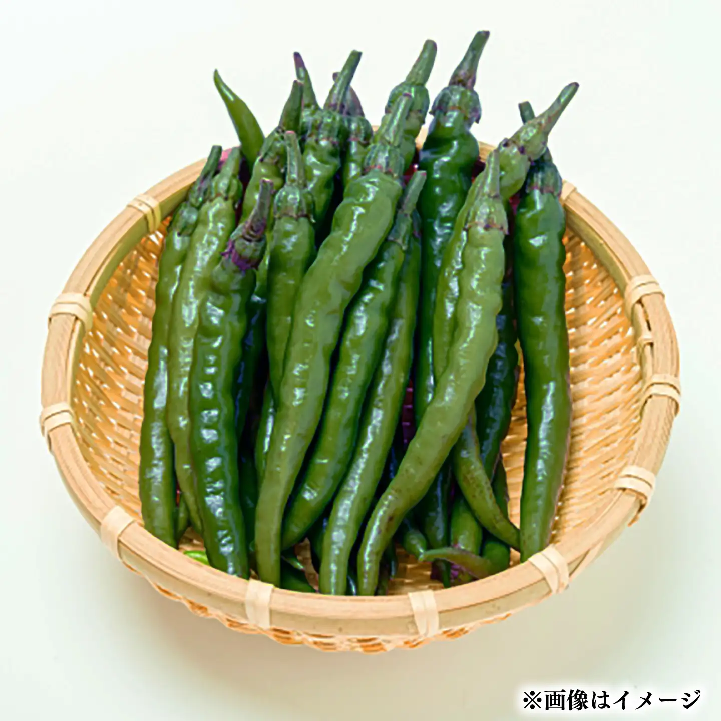 【栽培期間中農薬不使用】青唐辛子 フレッシュ 200g  大村市 たぬき池自然農園/ 唐辛子 生唐辛子 トウガラシ とうがらし[ACCJ005]