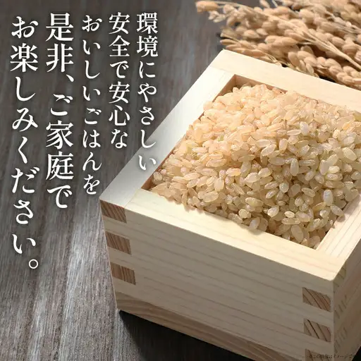 令和8年産 予約 合鴨米「元気つくし」（玄米・10kg）定期便6回コース BI25