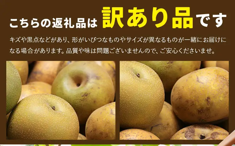 【先行予約】梨 訳あり梨  約5kg 株式会社Foody’s《2026年8月下旬-10月下旬頃出荷》なし 和梨 フルーツ 果物 ご家庭用 不揃い キズあり 菊池市産 熊本県産 九州産