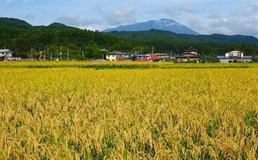 【 6ヶ月 定期便 】武田家のお米 墾 あきたこまち 精米 5kg 総量 30kg 農薬 化学肥料 ：栽培期間中 不使用 【米農家 仁左ェ門】 米 こめ コメ 白米 ご飯 ごはん ライス おにぎり 弁当 お弁当 単一原料米 5キロ ５kg 5ｋｇ 1袋 お取り寄せ 産地直送 農家直送 国産 岩手県産 オススメ おすすめ 人気