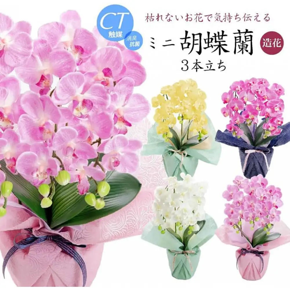 枯れないアーティフィシャルフラワー ミニ胡蝶蘭 3本立ち ホワイト SC触媒加工済