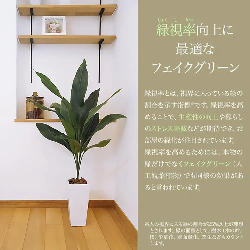 人工観葉植物 カポック斑入り 160cm 樹脂鉢Lサイズ白 SC触媒加工済