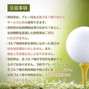 豊田市ゴルフ場利用券40枚（市内16ゴルフ場利用可）