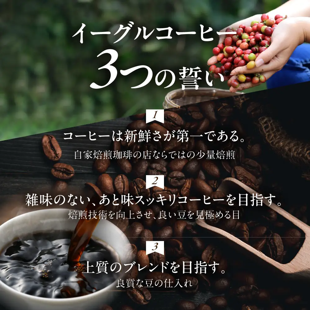自家焙煎コーヒードリップバッグ（マイルドタイプ） 「高山朝1ブレンド」5個入り GT018