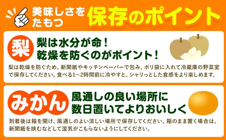フルーツ 定期便 旬の梨 3kg 西南のひかり 5kg 2回定期便 さかもと果樹園《梨：8月中旬-10月上旬頃出荷 みかん：12月中旬-12月末頃出荷》