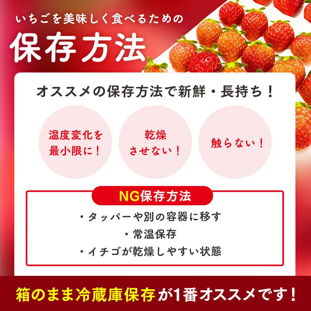 北海道様似町産 すずあかね 300g×2セット いちご いちご