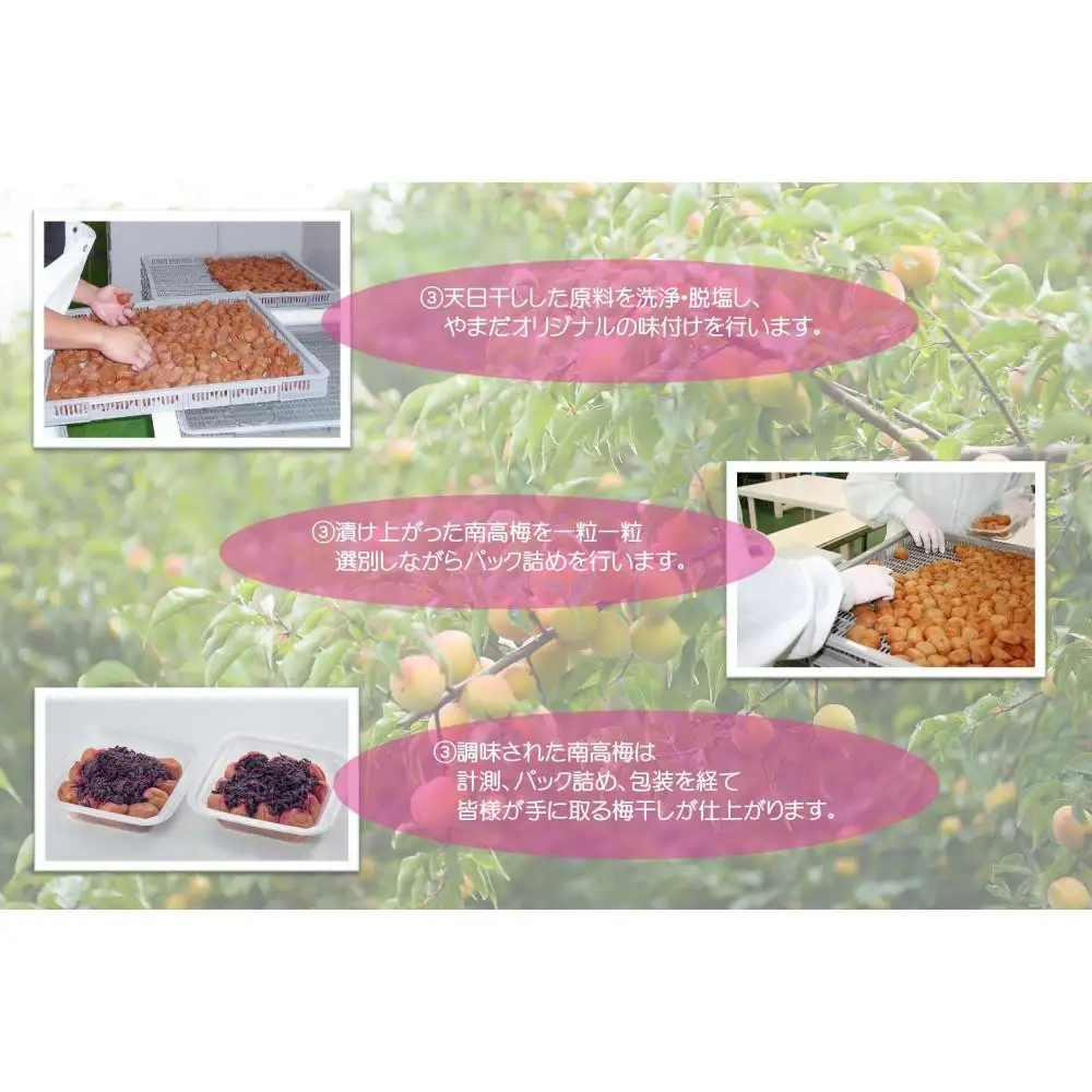 【定期便・3ヵ月毎 全3回】紀州南高梅 しそプレミアム 850g ［YM14］