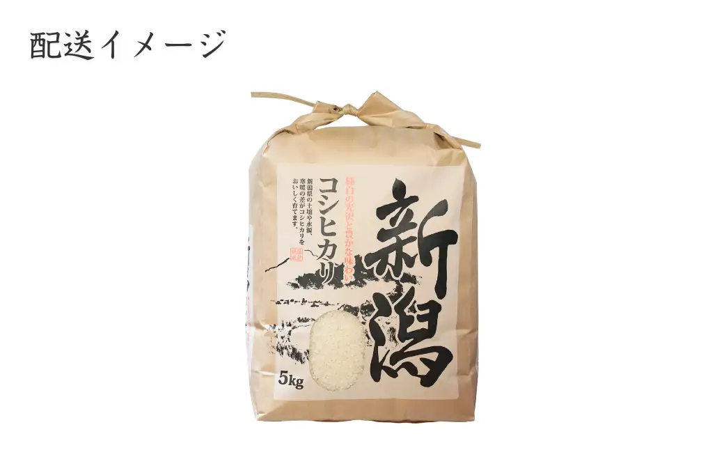 【新米】【先行予約】 新潟県産 コシヒカリ 5㎏ 〈11月中旬発送分〉令和8年産 | コシヒカリ 農事組合法人ファーム天領