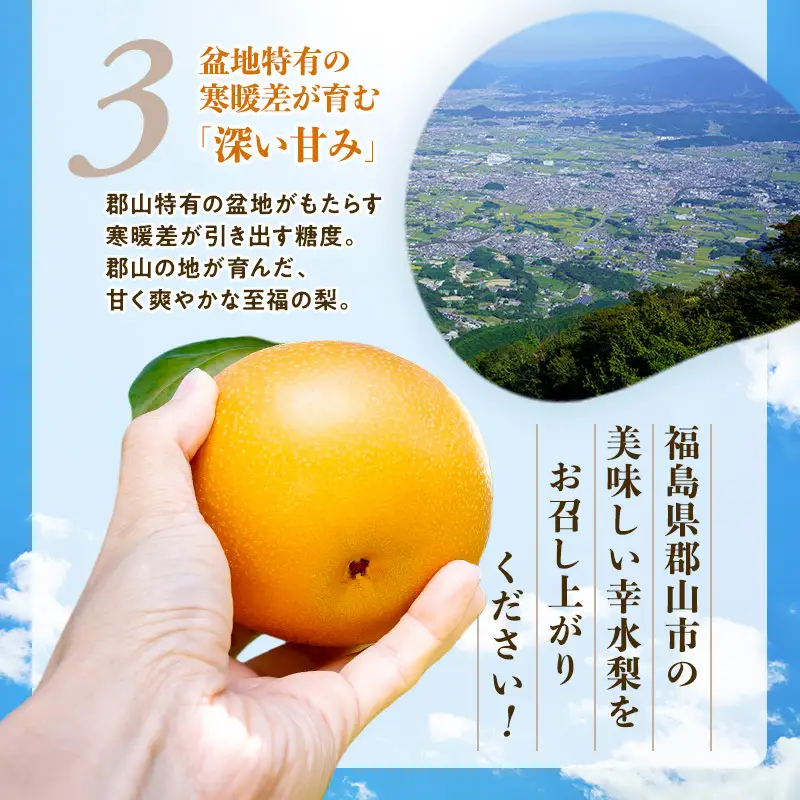 みずみずしく糖度が高い梨 福島県郡山市産 幸水 約1.2kg（3～5玉） 梨 なし ナシ 果物 くだもの フルーツ 福島県 郡山市