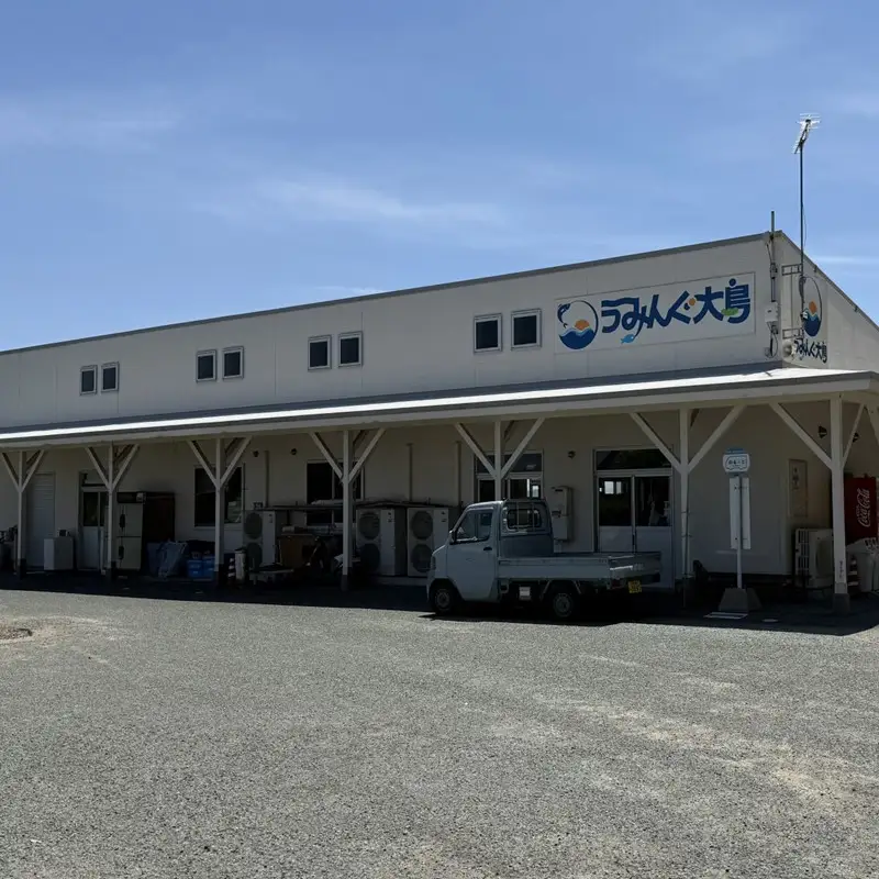 海洋体験施設うみんぐ大島 シーカヤック体験1名様分【(株)むなかた大島】_HA2024 体験 チケット 福岡県宗像市 宗像市 福岡 宗像