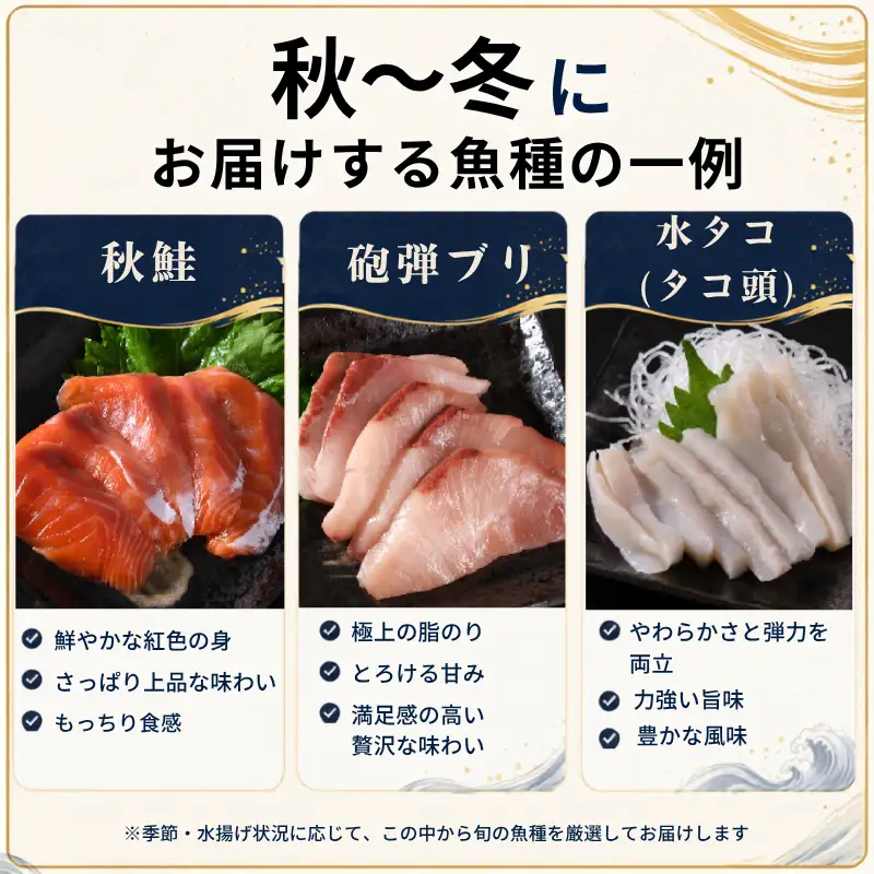 刺身セット 3~4人前 × 年3回定期便 刺身【AK】
