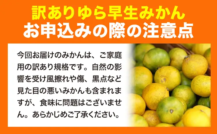 訳あり ゆら早生みかん 5kg 圦本農園 