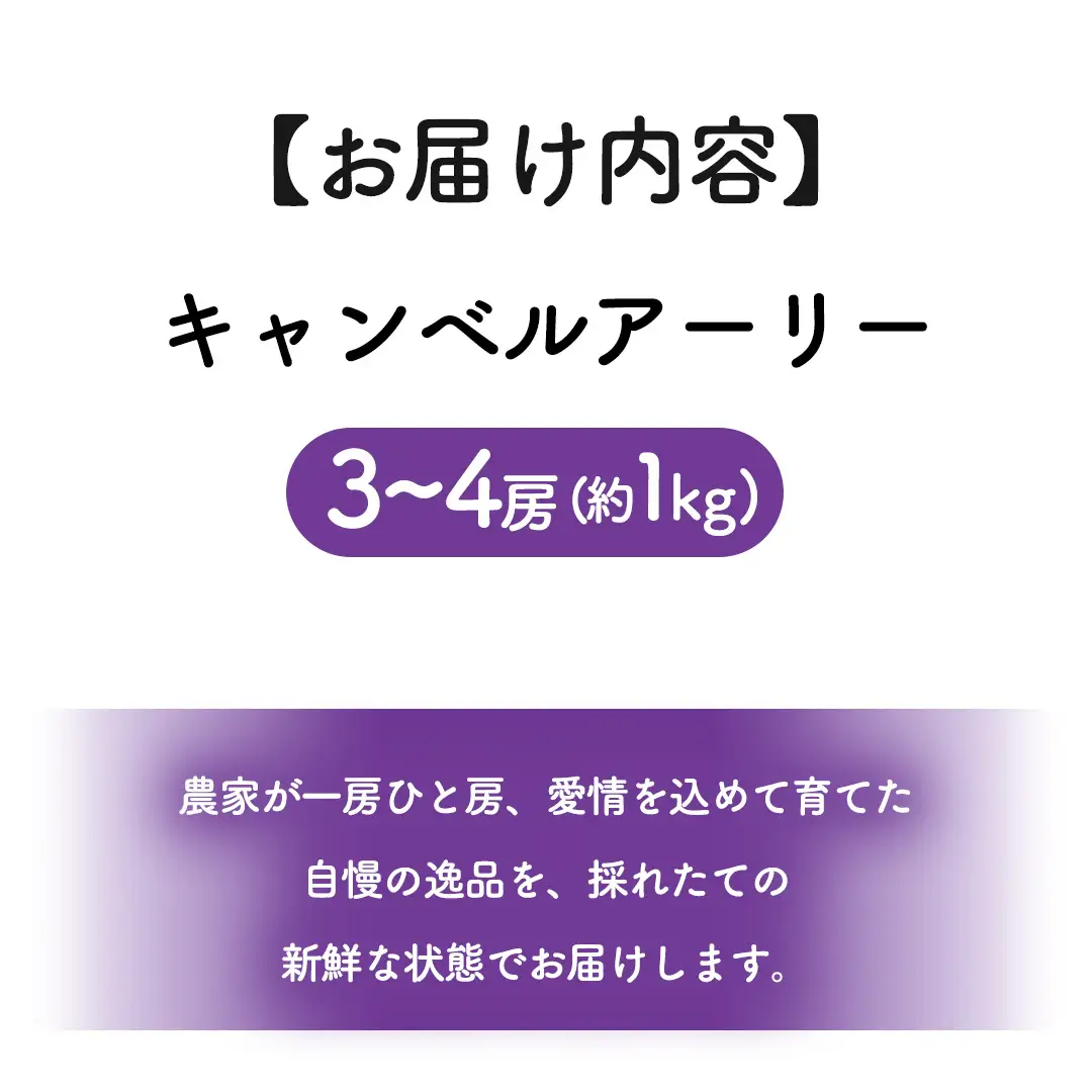 ぶどう キャンベルアーリー 1kg (3～4房)【紫波町佐比内産】 (BC008)