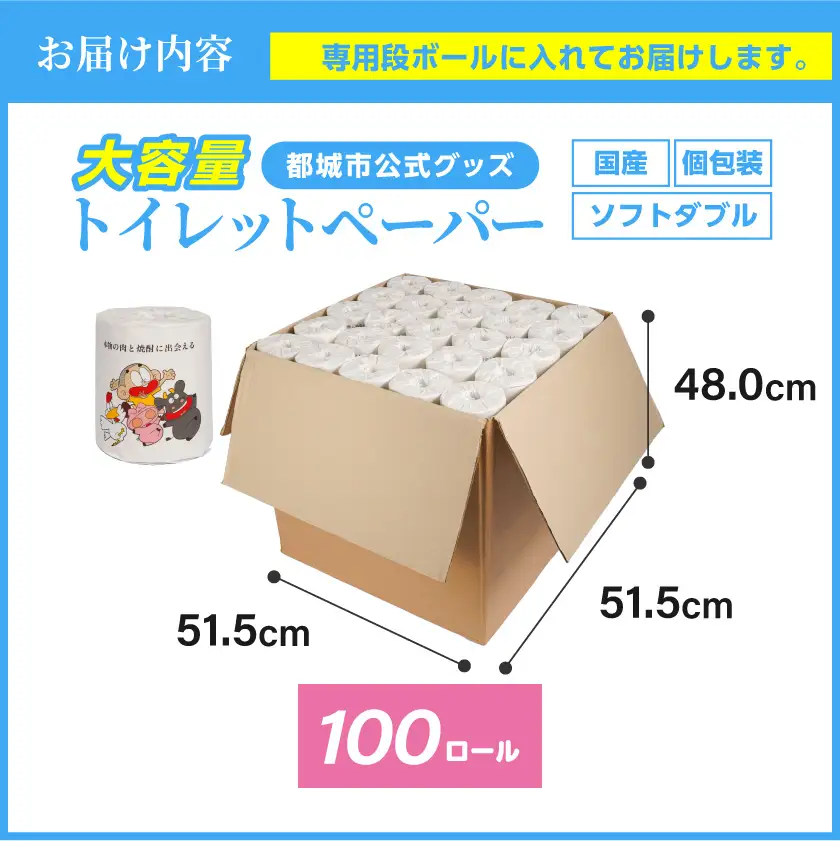 トイレットペーパー （ソフトダブル） 100ロール 〔12-I5-TP100〕_(都城市) 備蓄 個包装 無香料 日用品 消耗品 ストック