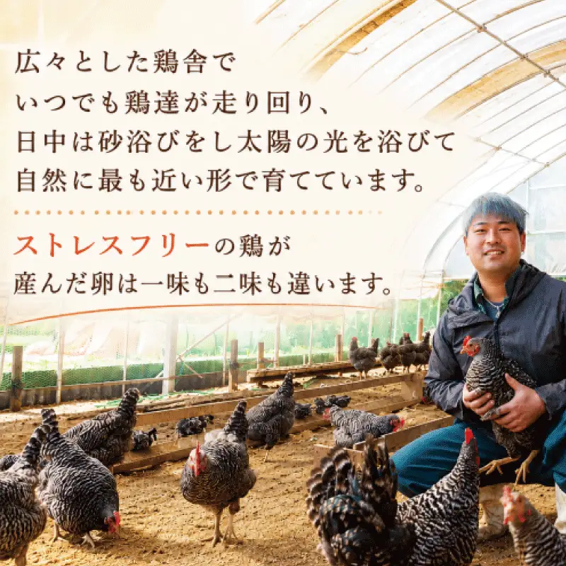 卵 朝採れ 平飼い 自然卵  【定期便】 3カ月 30個×3回 計90個 割れ補償付き