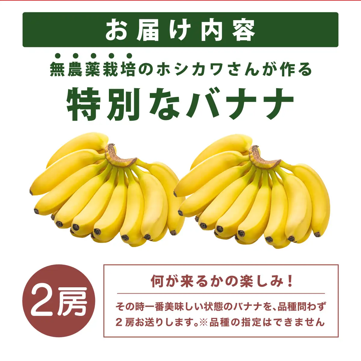 希少！無農薬栽培の千川さんが作る特別なバナナ2房