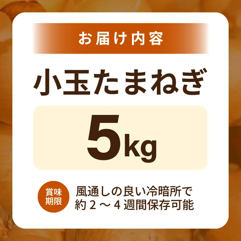 小玉 玉ねぎ 5kg たまねぎ 玉葱 産地直送 [A-16521]