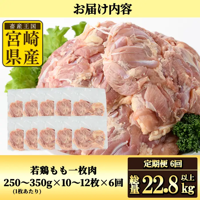 【定期便・全6回】宮崎県産若鶏もも肉(総量22.8kg以上・鶏もも一枚肉250～350g×10～12枚×6回) お肉 国産 冷凍【NK-23】【南九フーズ】
