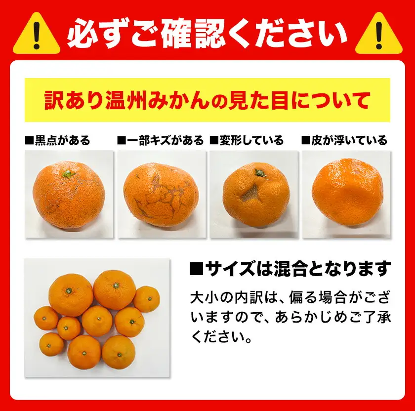 訳あり 木成り完熟温州 みかん 約 5kg ミックスサイズ 和歌山県産