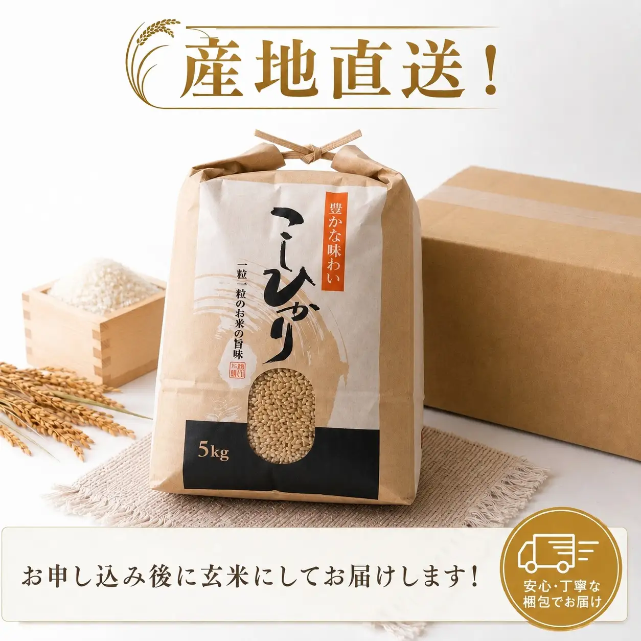 こしひかり 玄米 5kg 2025年産［0940-5］