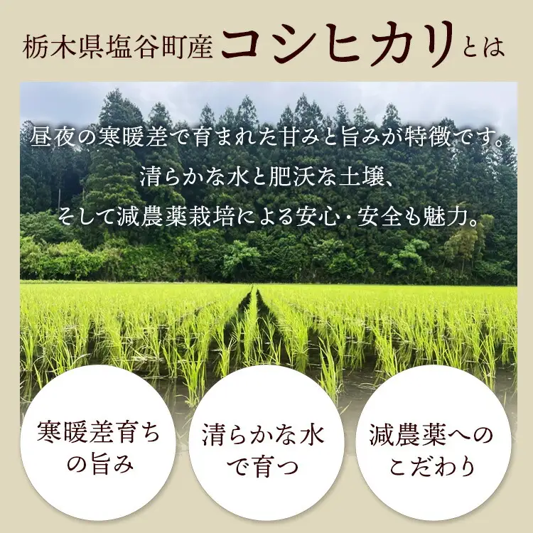 【10月発送】【定期便3ヵ月】令和8年産新米 コシヒカリ 無洗米 5kg×3ヵ月 計15kg ｜ お米 白米 米 こめ コメ ご飯 ふるさと納税米 定期便 国産 常温 栃木県 塩谷町 ※2026年10月～発送