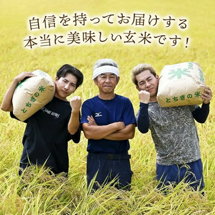 【11月発送】令和8年産新米 とちぎの星玄米30kg｜ 米 お米 国産 栃木県 塩谷町 ※2026年11月～発送