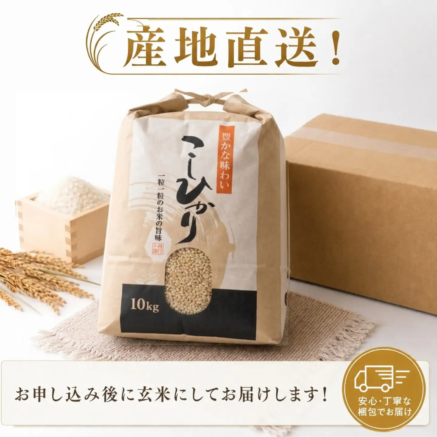 こしひかり 玄米 10kg 2025年産［0940-6］