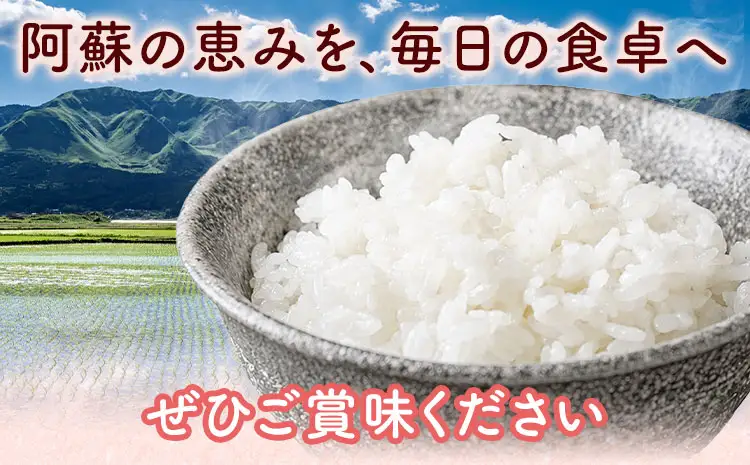 【先行予約】米 令和8年産 阿蘇こしひかり 10kg (5kg×2袋) ますだふぁーむ《9月末-10月末頃出荷》熊本県 南阿蘇村 米 お米 白米 精米 国産米 こしひかり コシヒカリ 産地直送